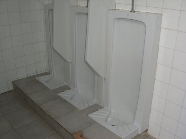 aseocabpatiotraserofucares